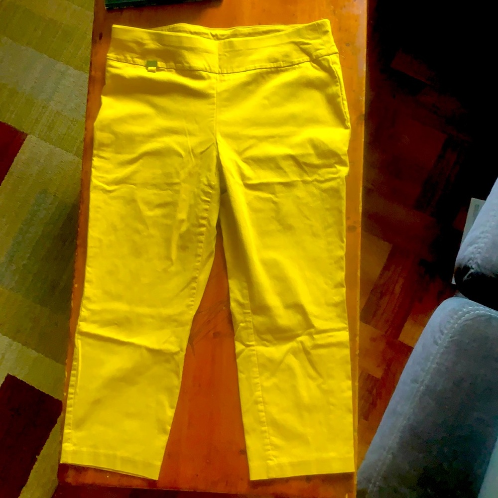 Alfani Stretchy Capri Pants